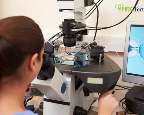 四川65万包成功助孕协议|南平供卵试管助孕机构大全(2024试管婴儿医院成功率预