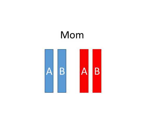 世纪助孕骗局_广州世纪助孕是真的吗?,重庆专业代怀 重庆妇幼和西南医院哪家