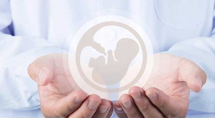 安阳助孕产子机构_做香港助孕试管婴儿需要什么身体条件