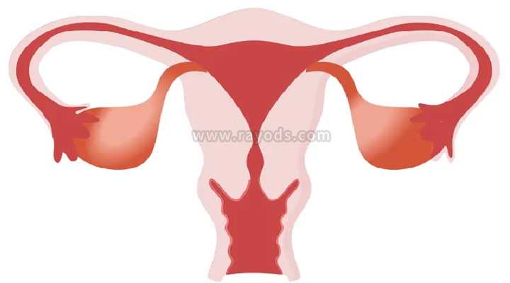 乐清市试管代孕网,第三代试管婴儿的利弊分别是什么？(第三代试管婴儿会对孩